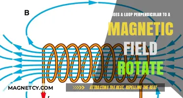 Exploring the Dynamics: Does a Loop Perpendicular to a Magnetic Field Rotate?