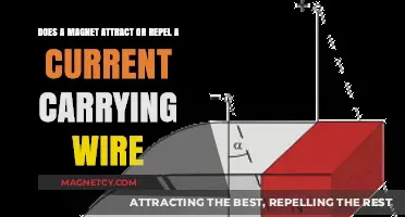 Magnetism and Current: Attraction or Repulsion in Wires Explained