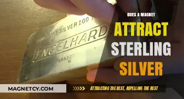 Does Sterling Silver Attract Magnets? Unveiling the Truth Behind the Myth