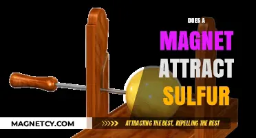 Does a Magnet Attract Sulfur? Unraveling the Magnetic Mystery