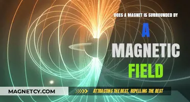 Exploring the Invisible Force: Understanding Magnetic Fields Around Magnets
