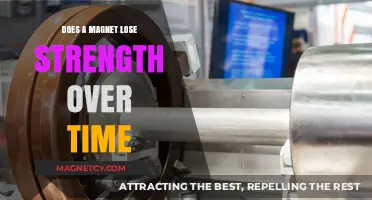 The Longevity of Magnets: Do They Really Lose Strength Over Time?