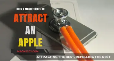 Magnets and Apples: Unraveling the Myth of Attraction or Repulsion