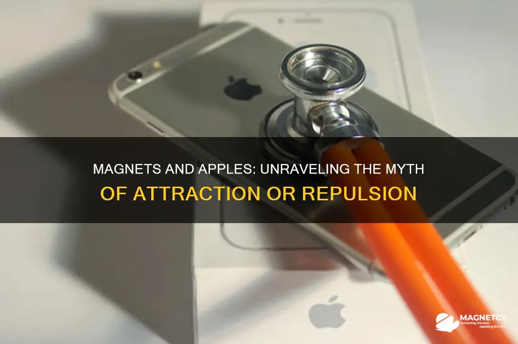 does a magnet repel or attract an apple