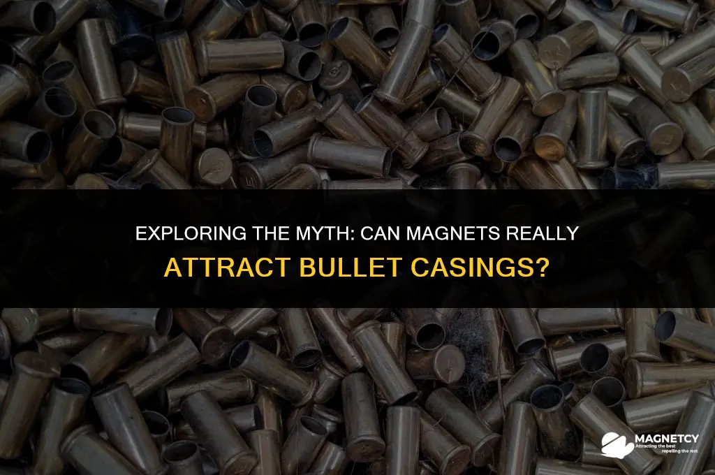 does a magnet work for bullet casings