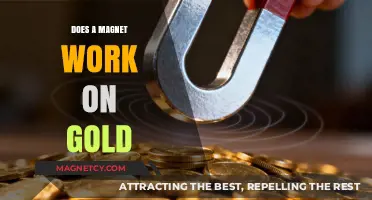 Unlocking the Mystery: Do Magnets Attract Gold?
