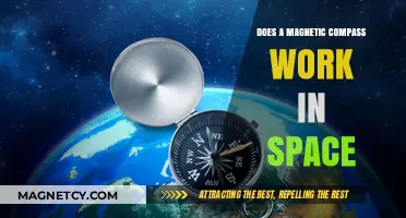 Exploring Navigation: Do Magnetic Compasses Function in Space?