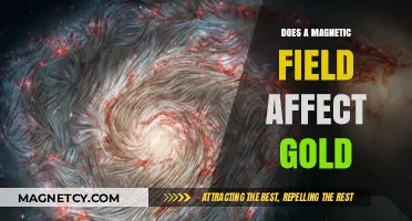Unveiling the Truth: Magnetic Fields and Their Impact on Gold