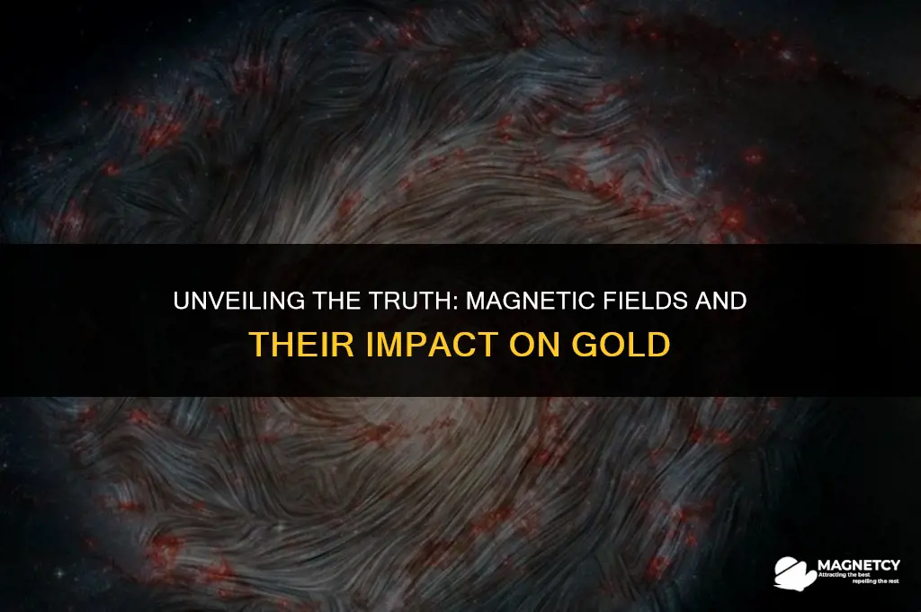 does a magnetic field affect gold