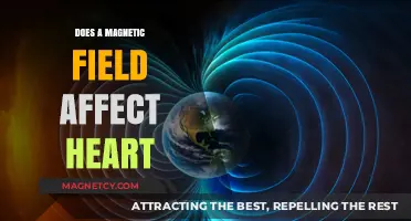 Exploring the Impact of Magnetic Fields on Heart Health