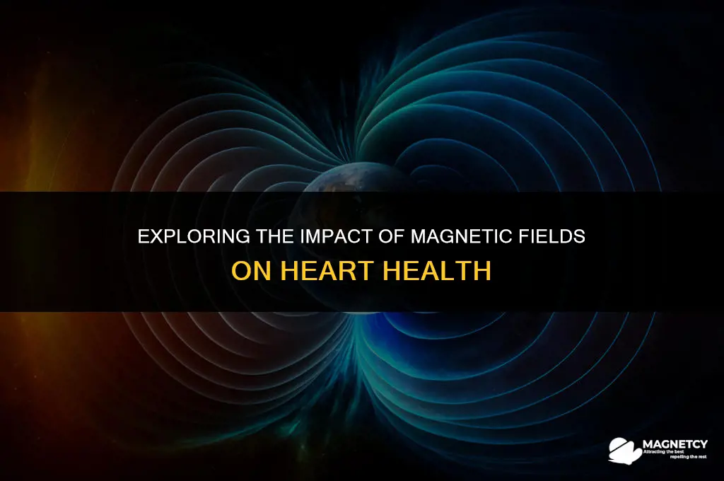does a magnetic field affect heart