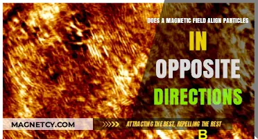 Exploring Magnetic Fields: Aligning Particles in Opposite Directions