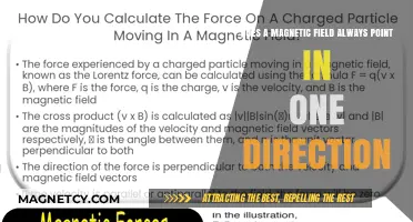 Unraveling the Mystery: Do Magnetic Fields Always Point in One Direction?