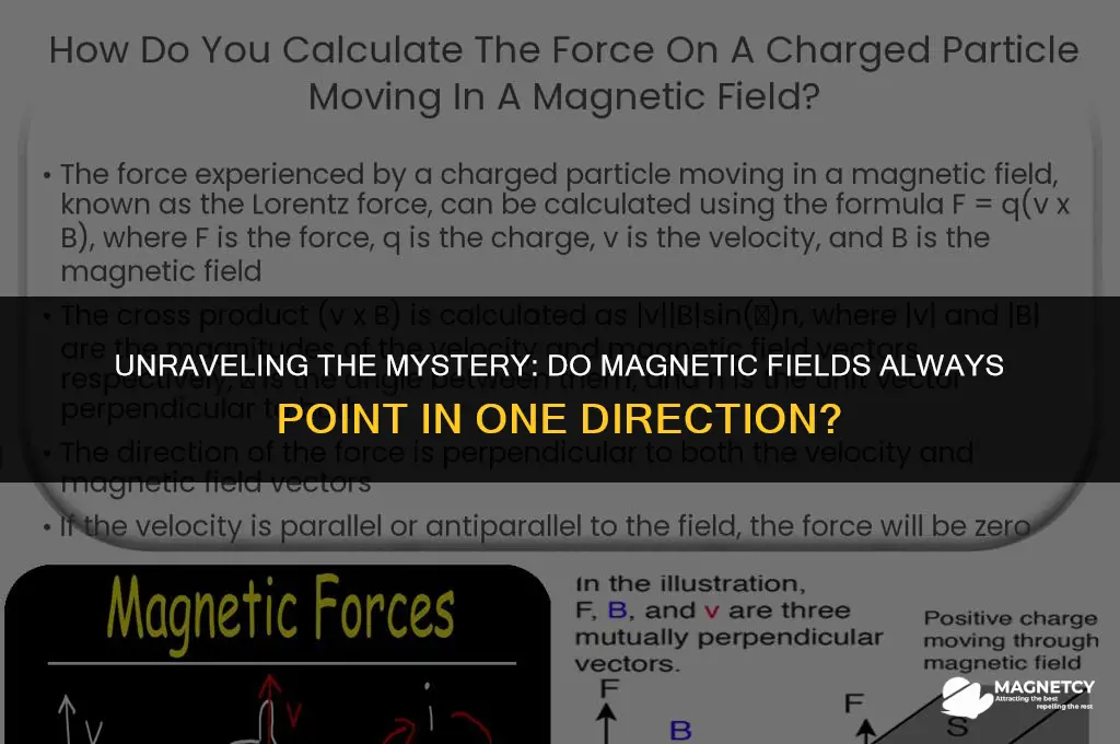 does a magnetic field always point in one direction