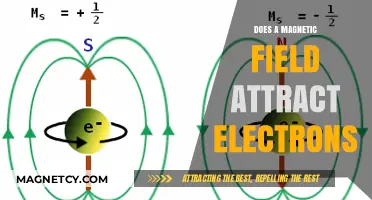 Magnetic Fields and Electrons: Attraction or Repulsion Explained