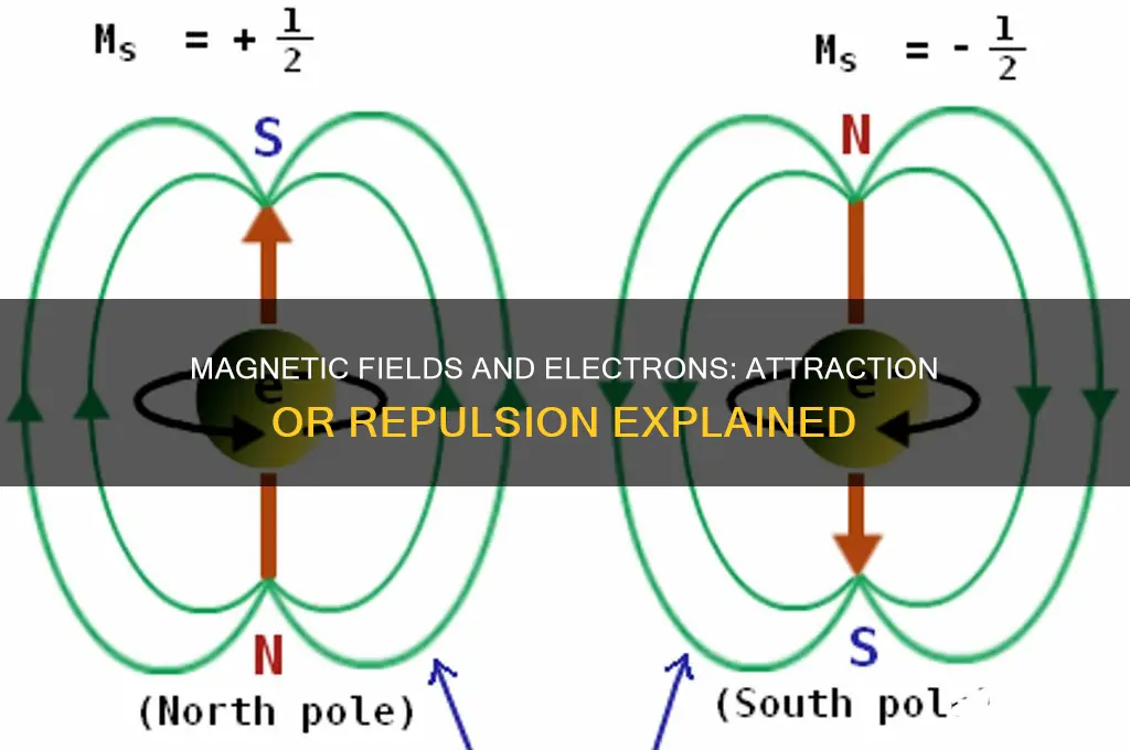 does a magnetic field attract electrons