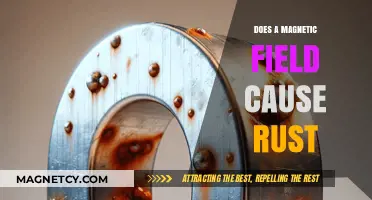 Unveiling the Truth: Magnetic Fields and Rust Formation Explained