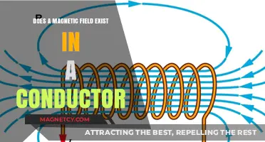 Exploring the Hidden Magnetic Fields Within Conductors