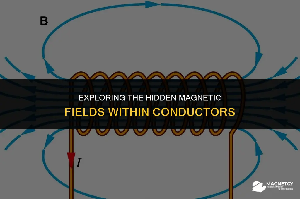 does a magnetic field exist in a conductor