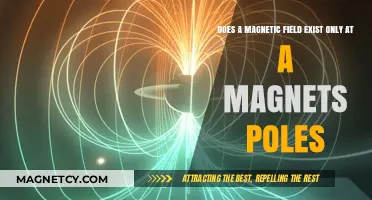 Exploring Magnetic Fields: Beyond the Poles
