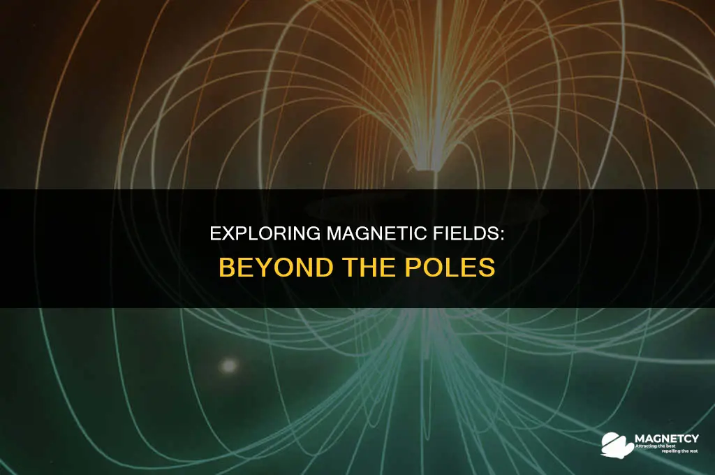 does a magnetic field exist only at a magnets poles