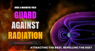 Shielding Secrets: How Magnetic Fields Protect Against Radiation