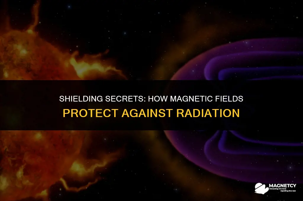 does a magnetic field guard against radiation
