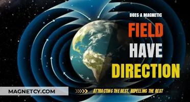 Exploring the Directionality of Magnetic Fields: A Comprehensive Guide