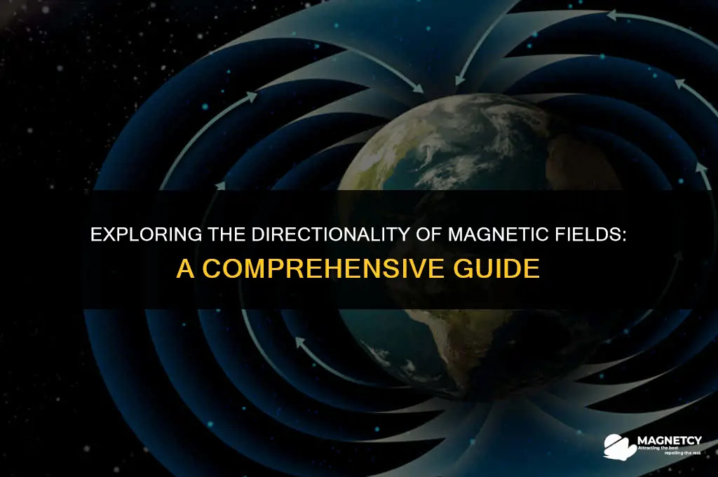 does a magnetic field have direction