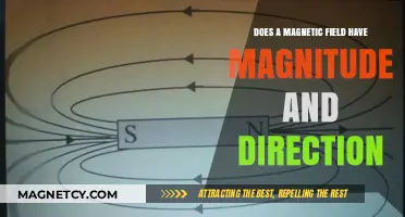 Exploring the Dual Nature of Magnetic Fields: Magnitude and Direction Unveiled