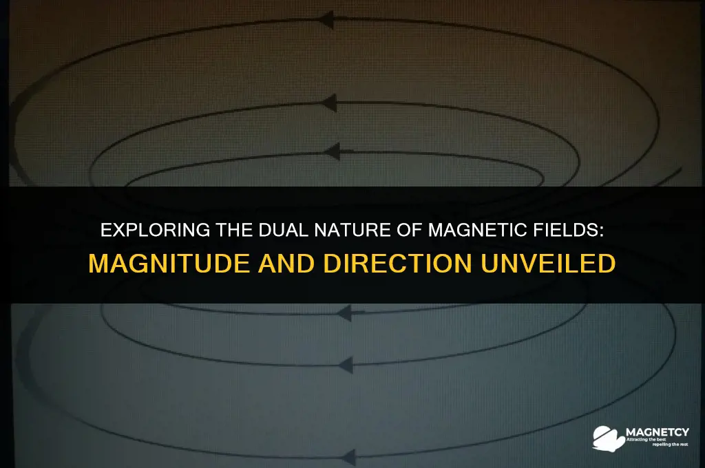 does a magnetic field have magnitude and direction
