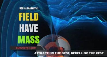 Exploring the Massless Nature of Magnetic Fields: A Deep Dive