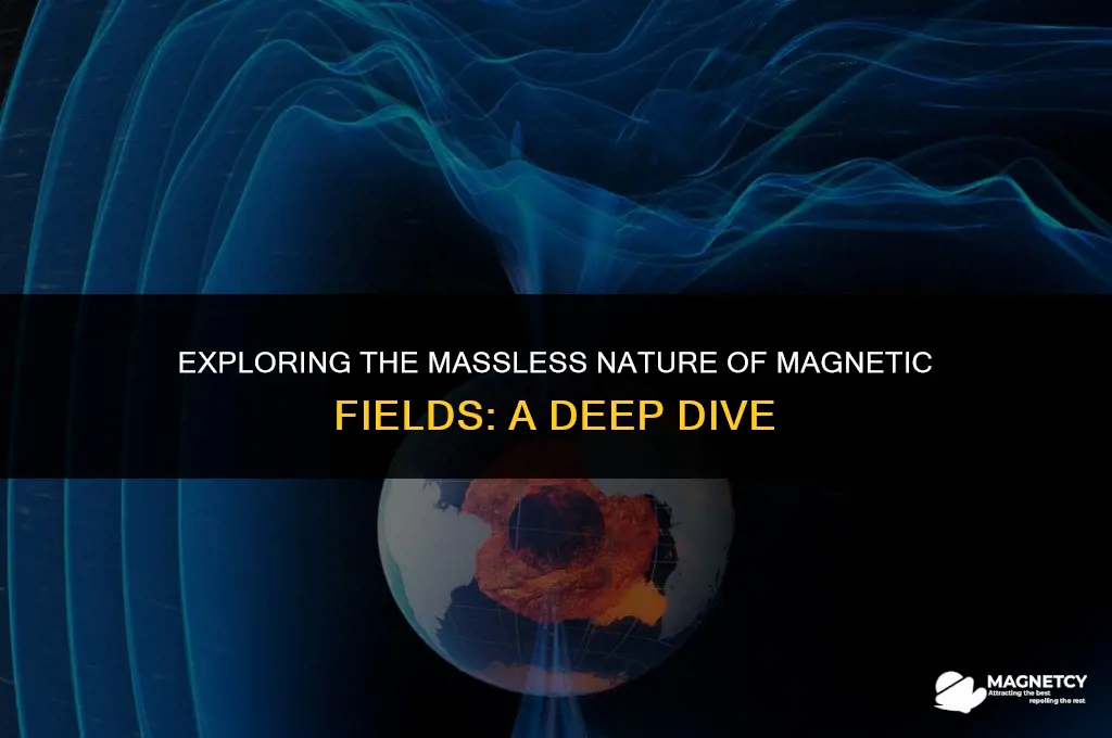 does a magnetic field have mass