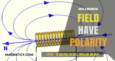 Exploring the Dual Nature: Polarity in Magnetic Fields