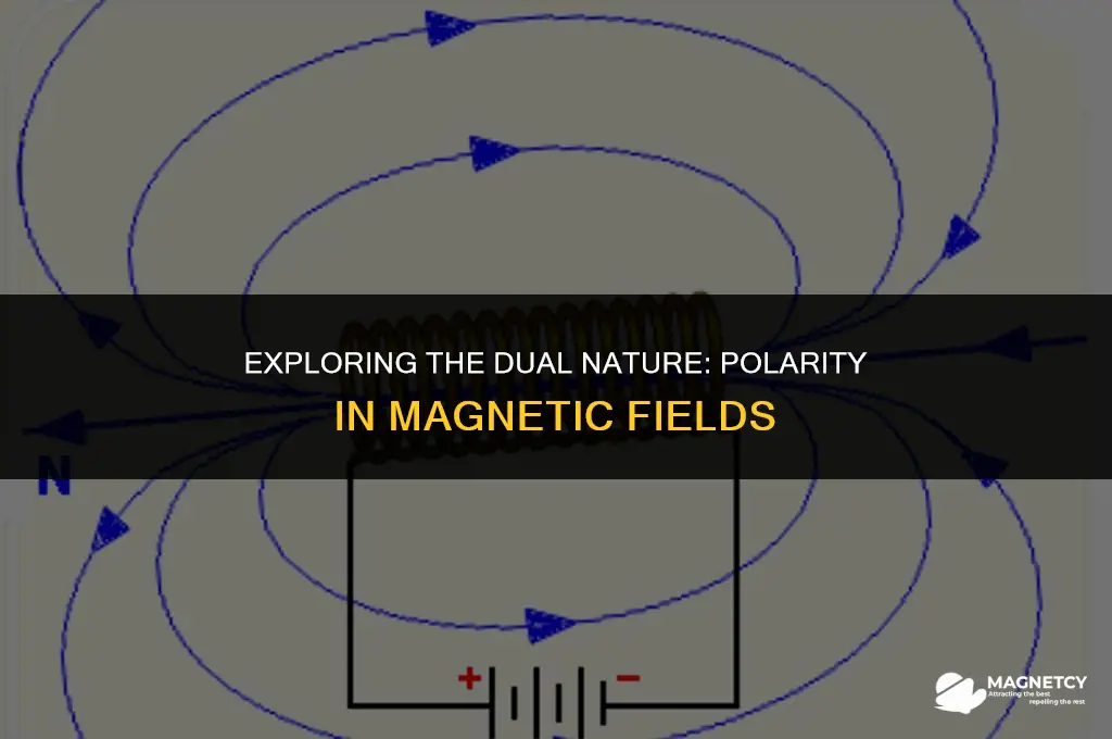 does a magnetic field have polarity