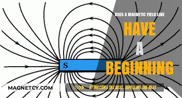 Unveiling the Mysteries: Do Magnetic Field Lines Have a Beginning?