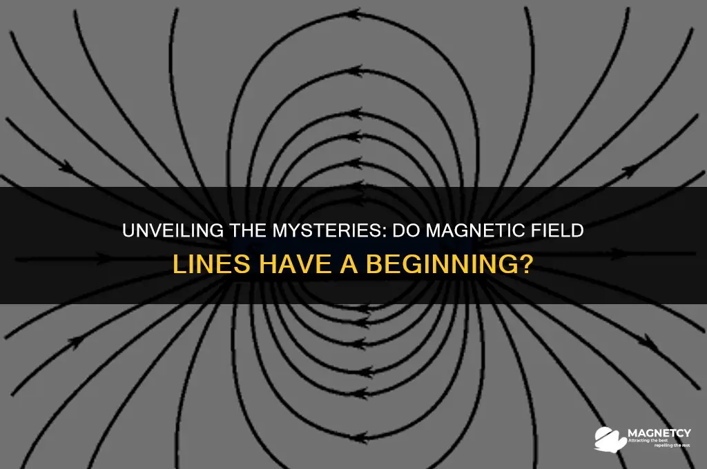 does a magnetic field line have a beginning