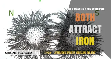 Do Magnets' North and South Poles Both Attract Iron? Explained