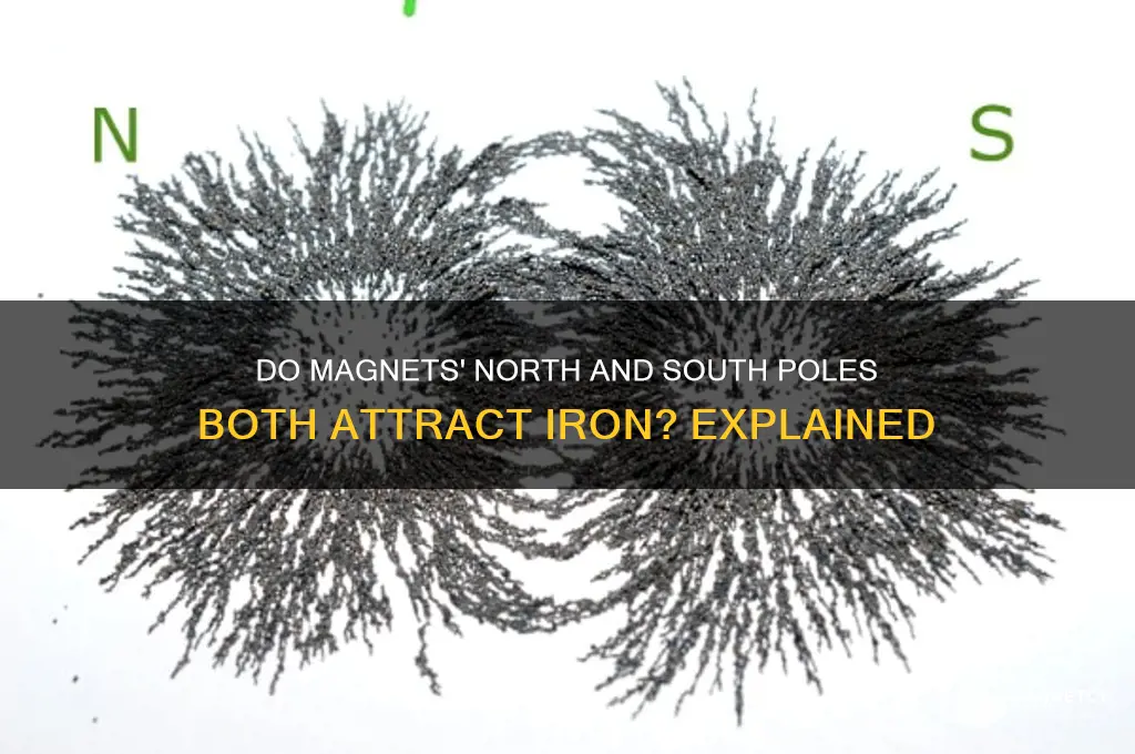 does a magnets n and south pole both attract iron