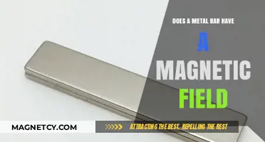 Exploring Magnetism: Do Metal Bars Naturally Emit Magnetic Fields?