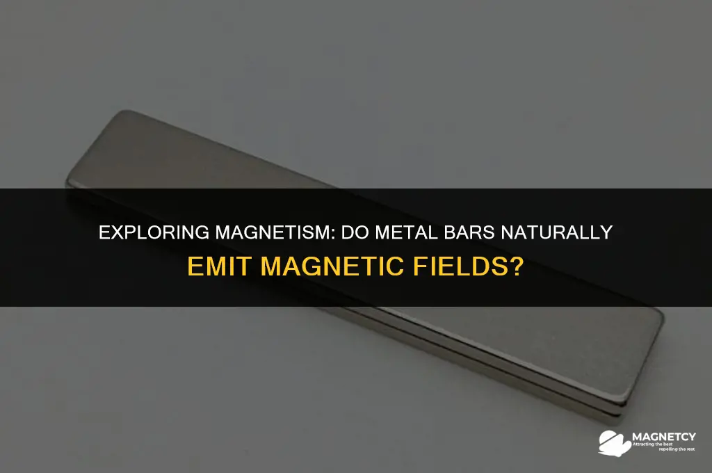 does a metal bar have a magnetic field