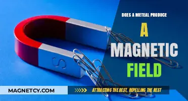 Exploring the Magnetic Properties of Metals: A Comprehensive Guide