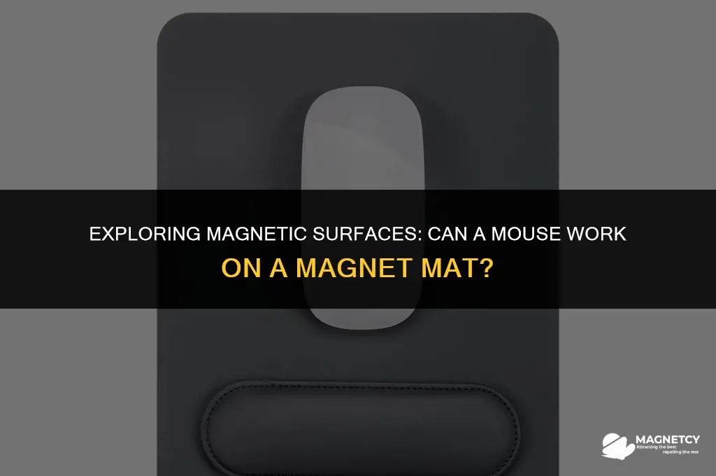 does a mouse work on a magnet mat