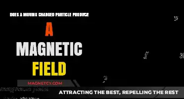 Exploring Electromagnetism: Charged Particles and Magnetic Fields