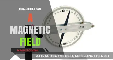Exploring the Magnetic Mysteries: Do Needles Have a Magnetic Field?