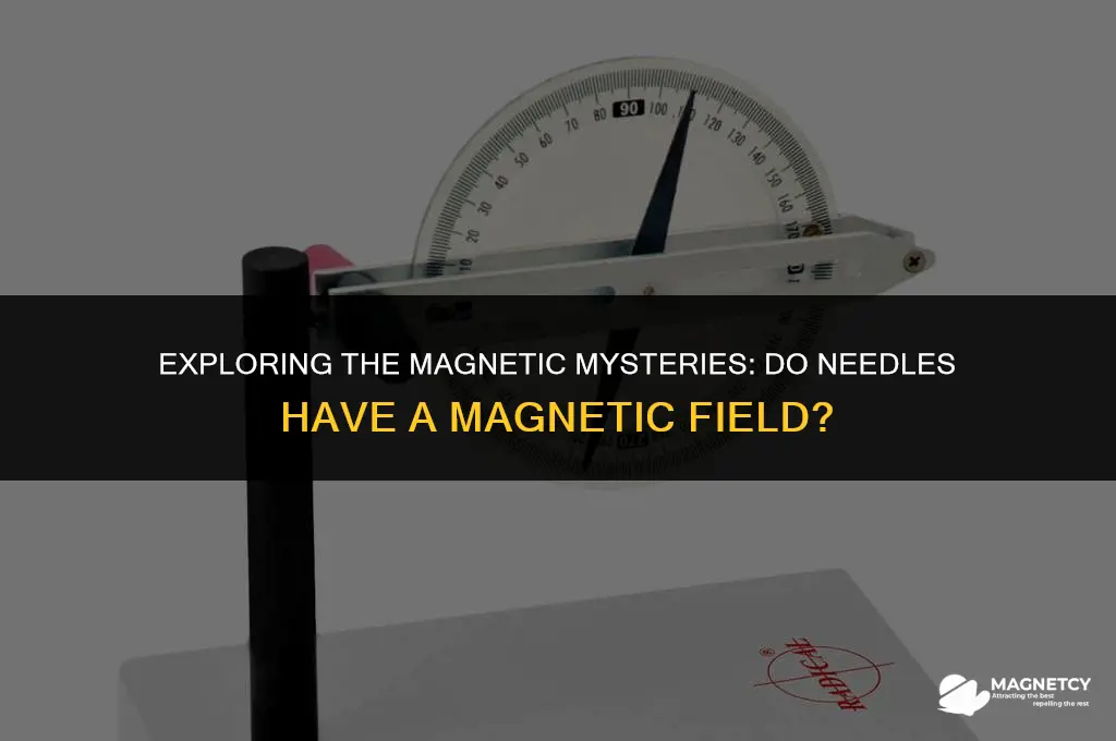 does a needle have a magnetic field