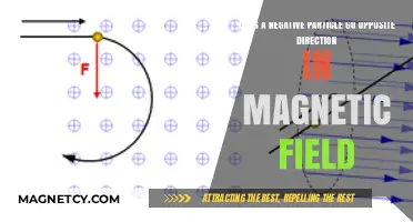 Decoding Particle Behavior: Negative Charges in Magnetic Fields