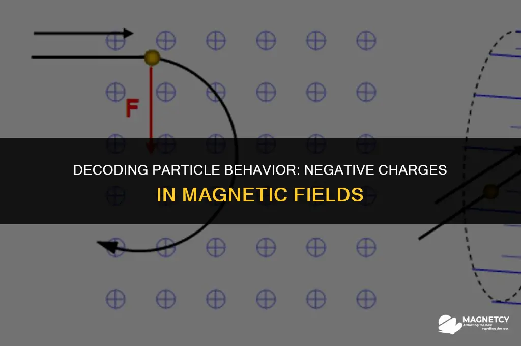 does a negative particle go opposite direction in magnetic field