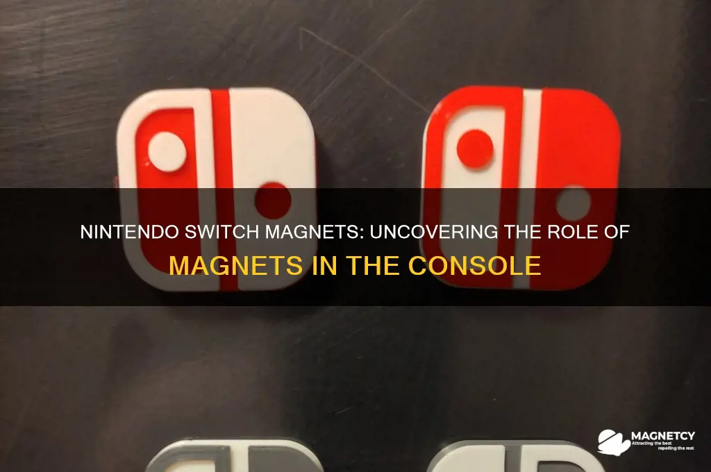 does a nintendo switch use magnets