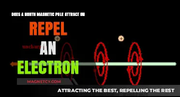 Magnetic Poles and Electrons: Attraction or Repulsion Explained
